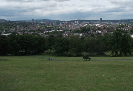 view from Top of Meersbrook Park